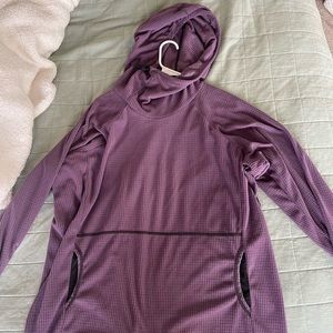 Purple melanzana
